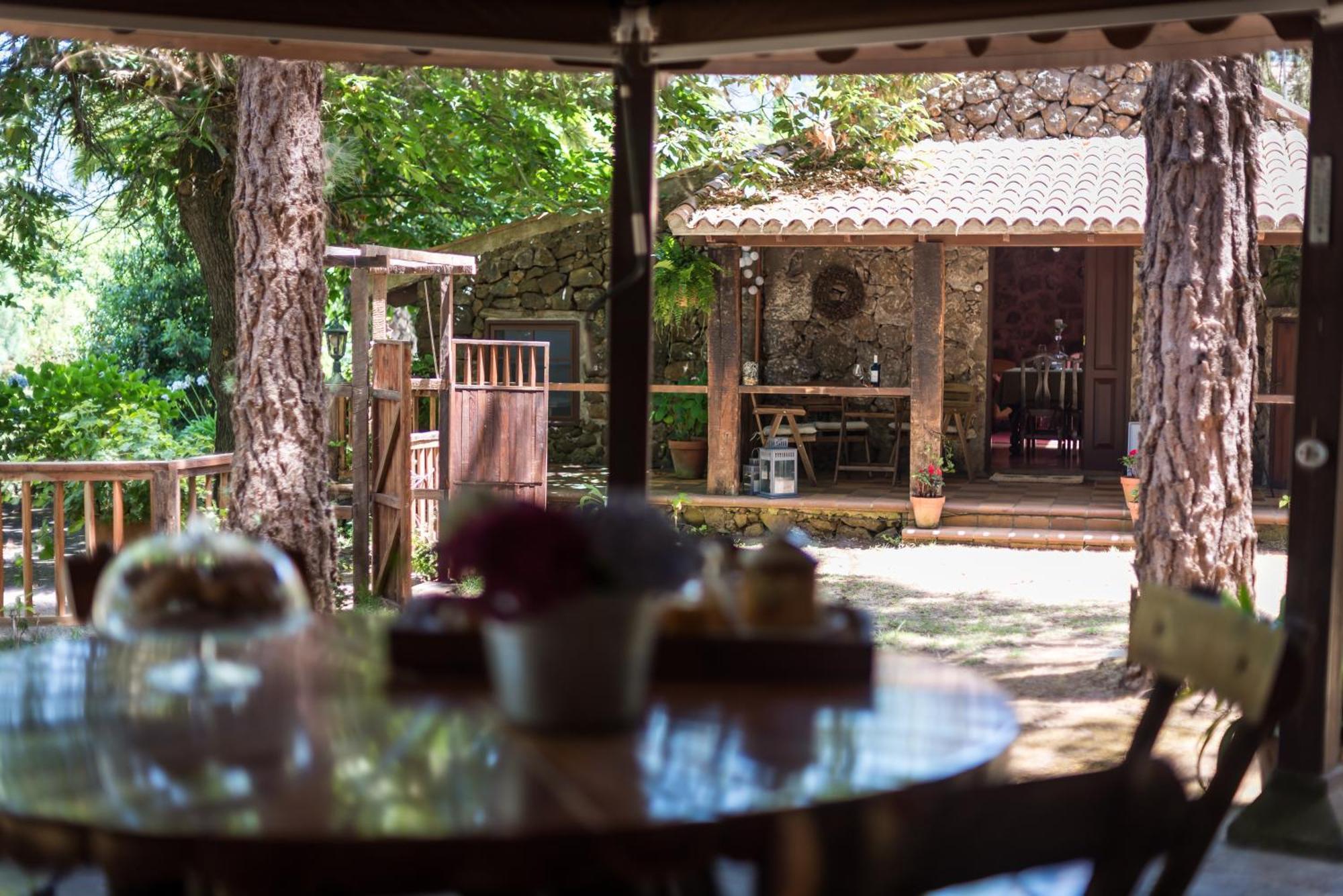 Hacienda Verde La Orotava Cameră foto
